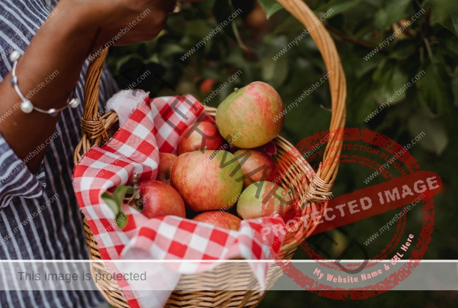 Fruit Picking and Packaging Jobs with Visa Sponsorship in Australia for Nigerians