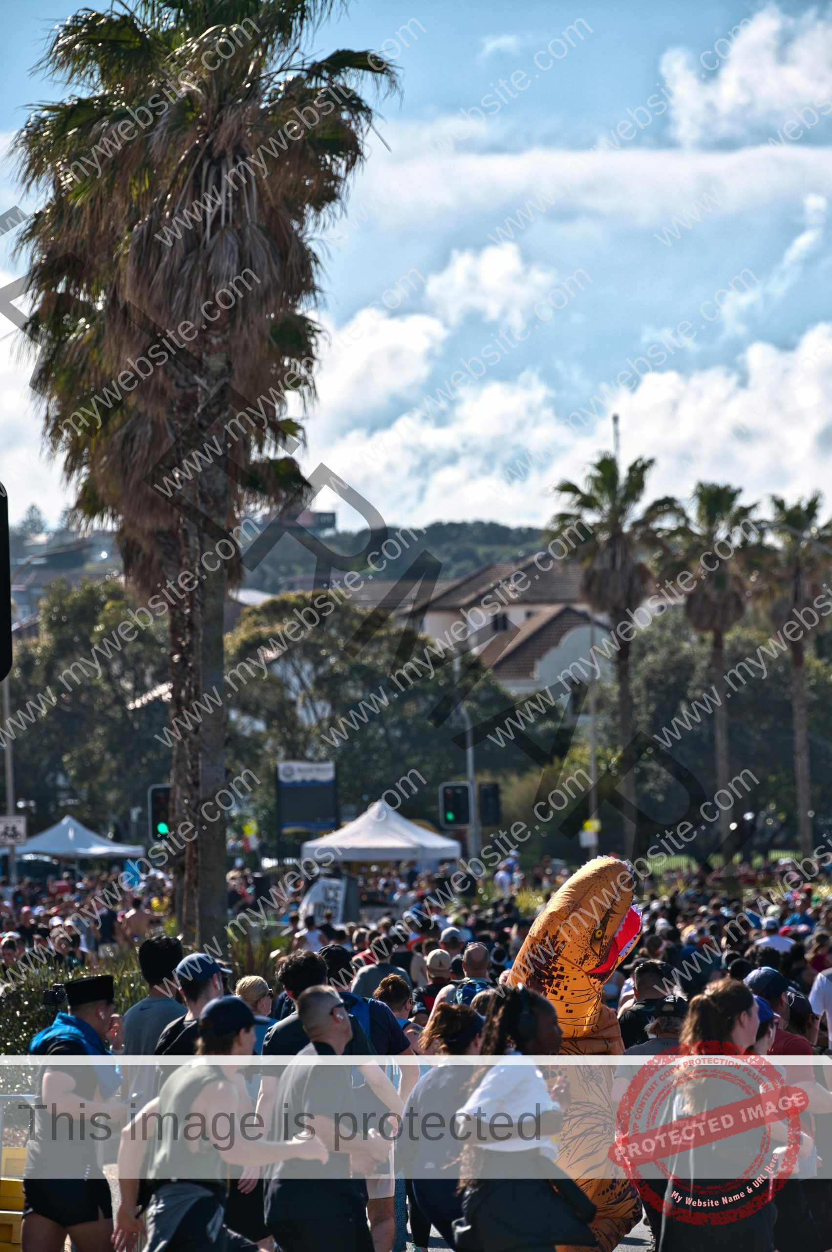 How Harvard University’s Annual Charity Run Supports Global Causes