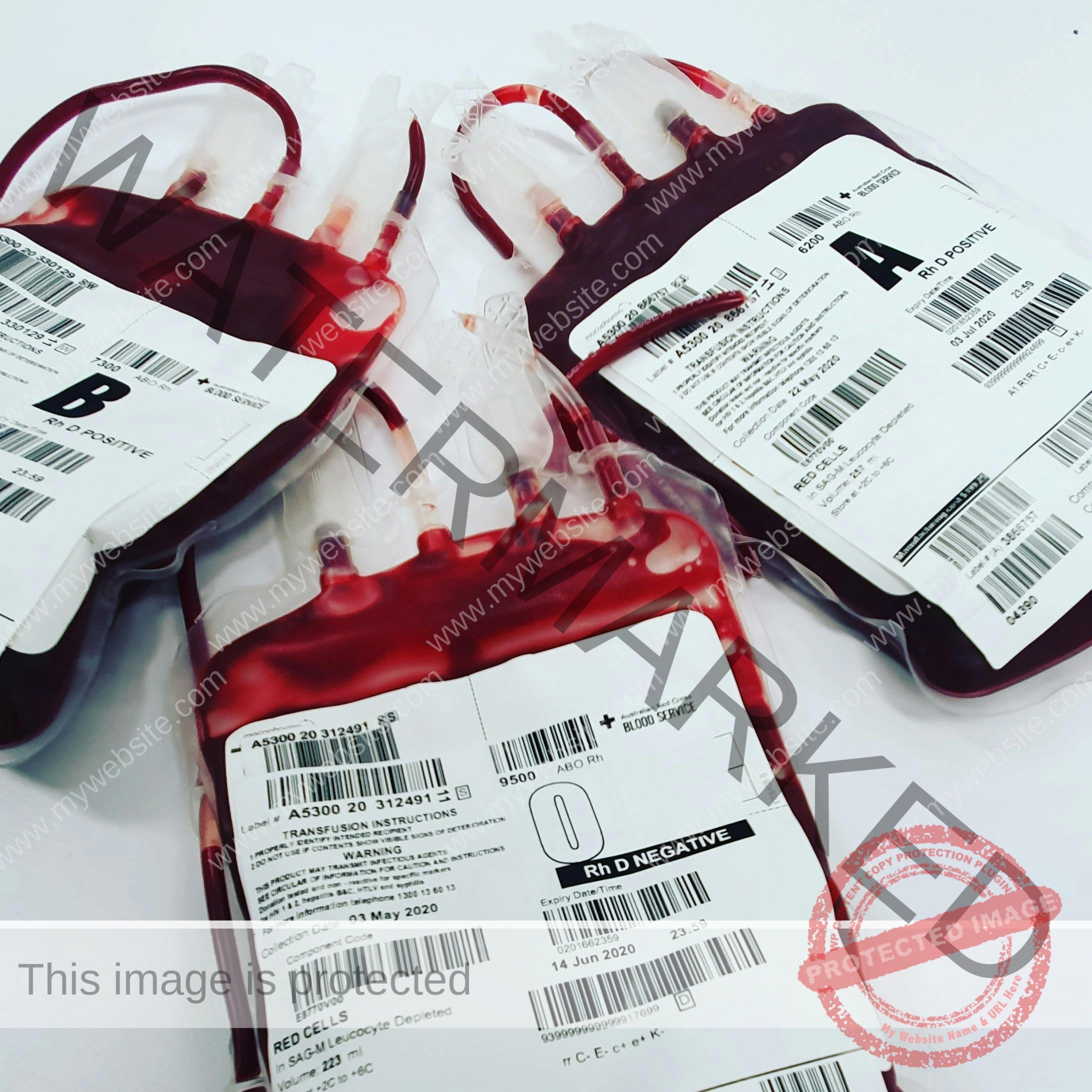 How Harvard’s Annual Blood Drives Are Saving Lives